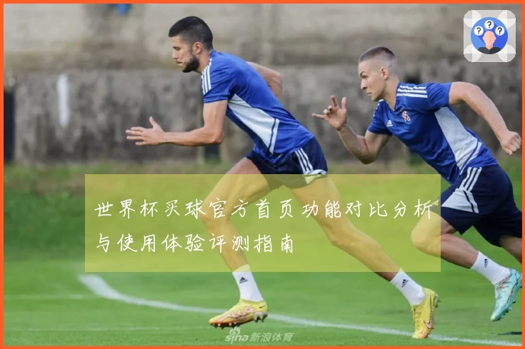 世界杯买球官方首页功能对比分析与使用体验评测指南