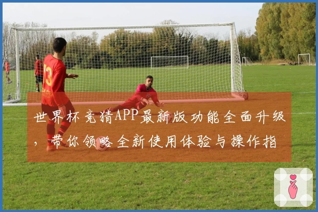 世界杯竞猜APP最新版功能全面升级，带你领略全新使用体验与操作指南