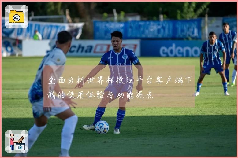全面分析世界杯投注平台客户端下载的使用体验与功能亮点