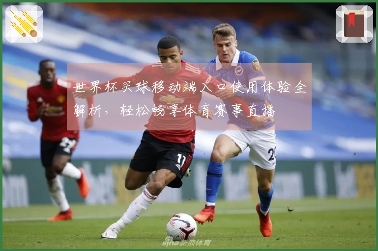 世界杯买球移动端入口使用体验全解析，轻松畅享体育赛事直播